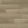 Picchi - Image 3