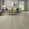 Sand Dollar - Image 2