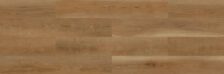American Cherry - Image 3