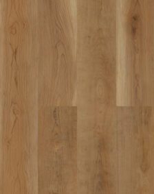 American Cherry