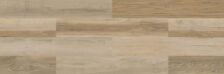 American Hickory - Image 3