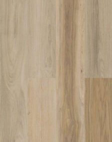 American Hickory
