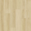 American Maple