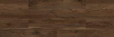 American Walnut - Image 3