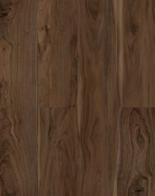 American Walnut