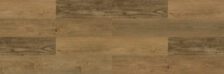 Elk Horn - Image 3