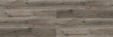 Seashell - Image 3