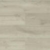 Sand Dollar - Image 3