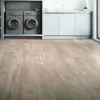 Asher Gray Oak - Image 2