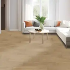 Stallion Hickory - Image 2