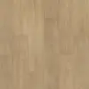 Stallion Hickory
