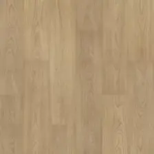 Stallion Hickory
