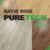 NATIVE RIDGE
